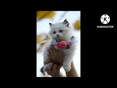 ❤️❤️❤️❤️