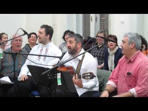 MIODRAG MIŠA BLIZANAC i PRIJATELJI - Kraj jezera jedna kuća mala