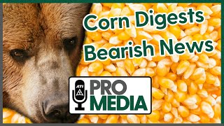 Corn Digests Bearish News