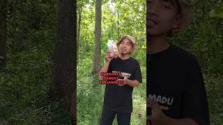 Download lagu buktikan sendiri, madu asli multiflora hanya 30 ribuan #maduasli #maduaslimurah #madumurni mp3