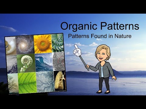 Organic Patterns in Art