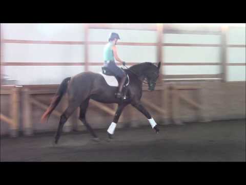 Fhantastick Aug 27 2018