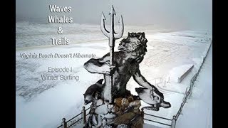 Waves, Whales, &amp; Trails - Episode I - Winter Surfing