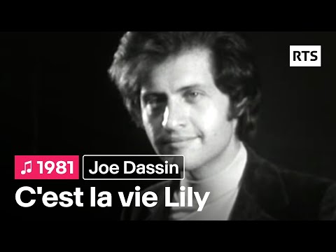 C'est la vie Lily