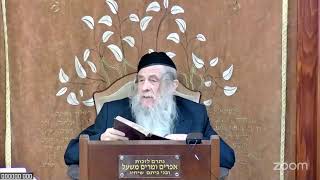 הרה"ג הרב וועכטר שליט"א ל' שבט תשפ"ה מאמר הרבי תשכ"ה ד"ה בלילה ההוא נדדה שנת במלך חלק ב (הרב אברהם מנחם מענדל וכטר) - התמונה מוצגת ישירות מתוך אתר האינטרנט יוטיוב. זכויות היוצרים בתמונה שייכות ליוצרה. קישור קרדיט למקור התוכן נמצא בתוך דף הסרטון