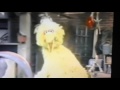 Classic Sesame Street Big Bird Wonderful Me TV Version