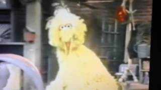 Classic Sesame Street: Big Bird - Wonderful Me (TV Version)