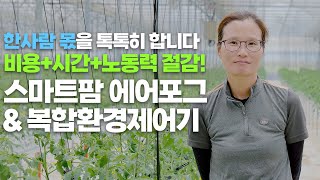 고품질 다수확 시설 작물 재배! 인건비+시간 절감 효과까지 스마트팜 복합환경제어기 & 에어포그