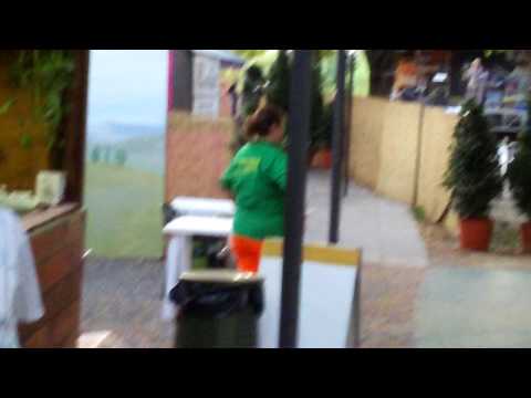 Festa della Croce Verde 2009 Pistoia