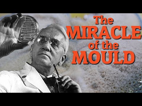High Tide Episode 2: Alexander Fleming - The Miracle of the Mould (Penicillin)
