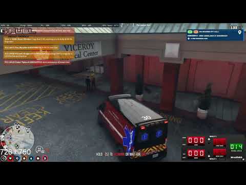 Professionalism Level 100 - TheBigMeech || GTA 5 RP NoPixel