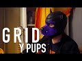 GRID | Y Pups | We are people from Wales that happen to be Pups