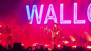 Wallows - Only Friend LIVE - Albuquerque, New Mexico (August 13, 2024) #concert #livemusic