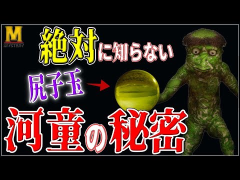 「河童」の意味をわかりやすく解説