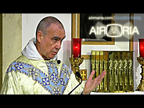 Death-Defying Scapular - Jul 16 - Homily - Fr Andre
