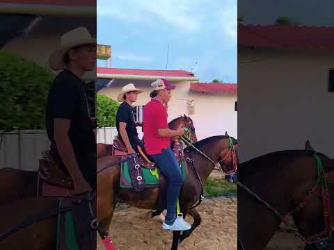 Así transcurrieron las carreras a caballo en Corozalito, Chimá, Córdoba.