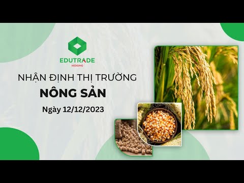 Nhận định thị trường hằng ngày