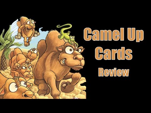 Camel Up Cards - Review
