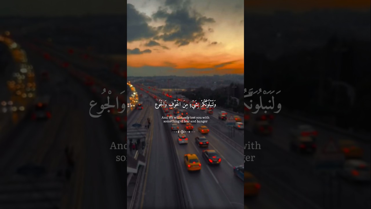 "وبشر الصابرين".. رسالة طمأنينة لكل مهموم بصوت القارئ إسلام صبحي ✨📖