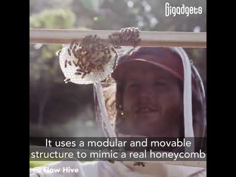, title : 'This artificial beehive makes beekeeping easier. #beekeeping #beekeeper #savethebees #gardeninglife'