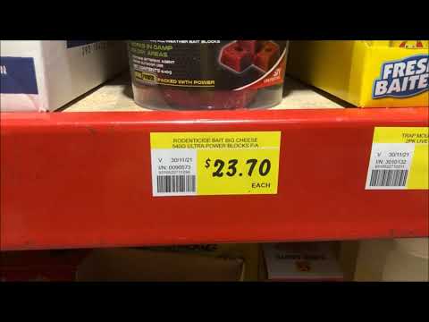 The Big Cheese Fast Action Bait Blocks Best Price Perth