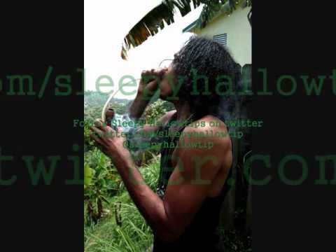 Sleepy Hallowtips - I Stay High (Hallow be Thy Name Album)