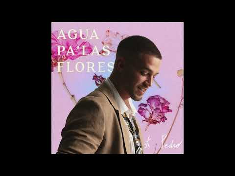 st. Pedro - Agua pa las flores (Cover Audio)