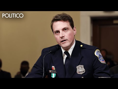 Officer Daniel Hodges' January 6 investigation full opening statements