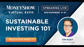 Sustainable Investing 101