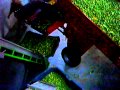 RADLIN NEXT DAY BELGIA POLACY WALCZA Z BRUKSELKA Wmv