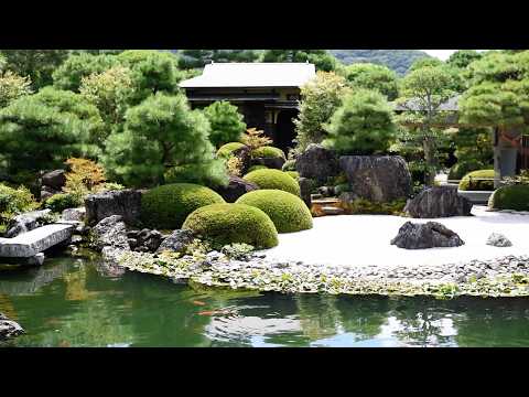 aménagement jardin paysager -autour-piscine-lavande-arbustes-fleurs