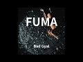 Bad Gyal - FUMA (audio)