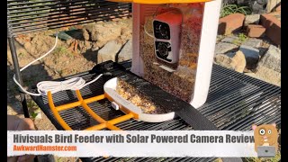 Hivisuals Bird Feeder with Solar Powered Camera Review