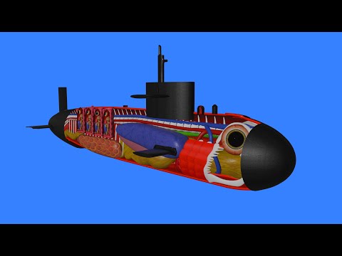 How a Submarine works