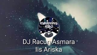 Download lagu DJ Racun Asmara - Iis Ariska | Remix Full Bass Terbaru mp3