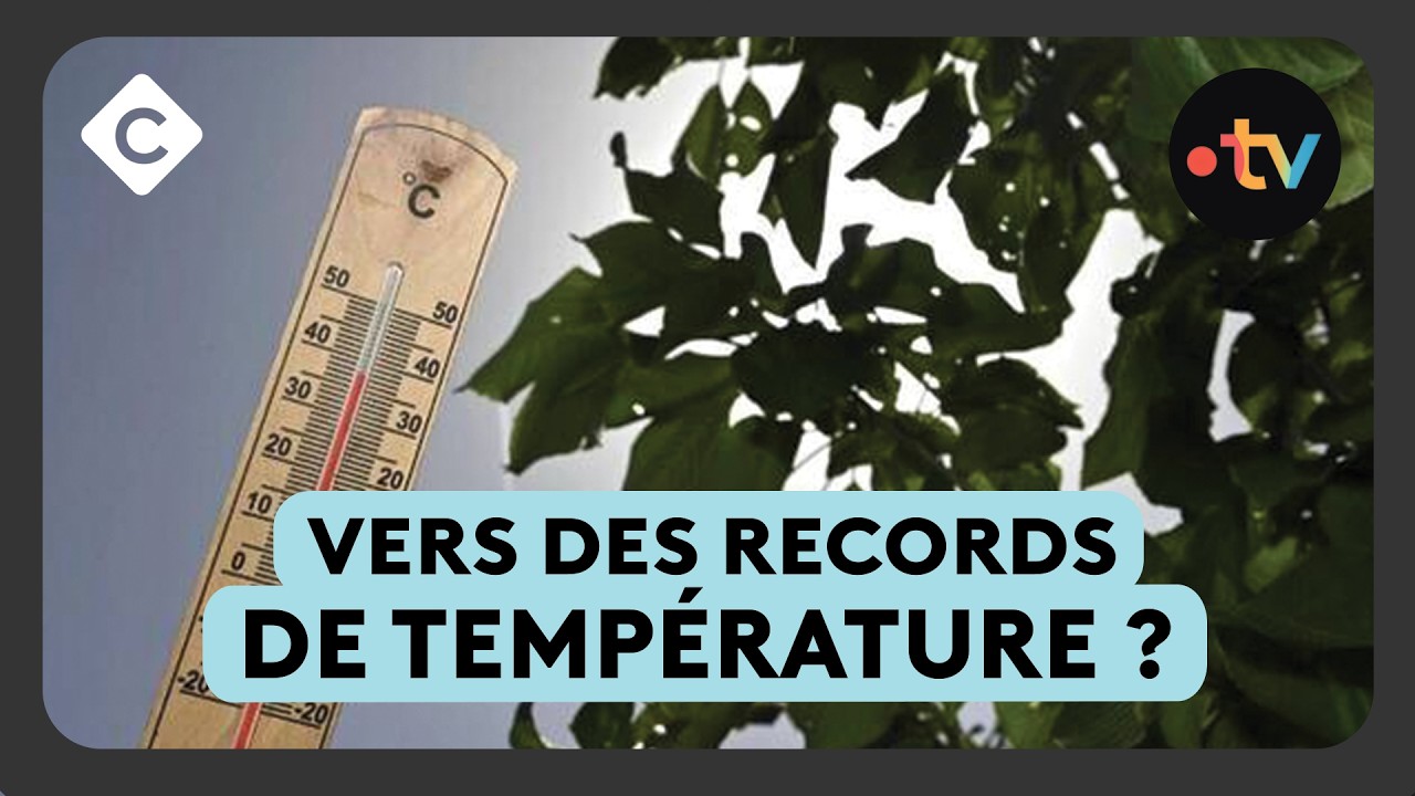 La France sous un dôme de chaleur