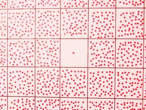 Crazy BABY Eyes ... and More: IMG! #44