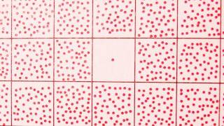 Crazy BABY Eyes ... and More: IMG! #44