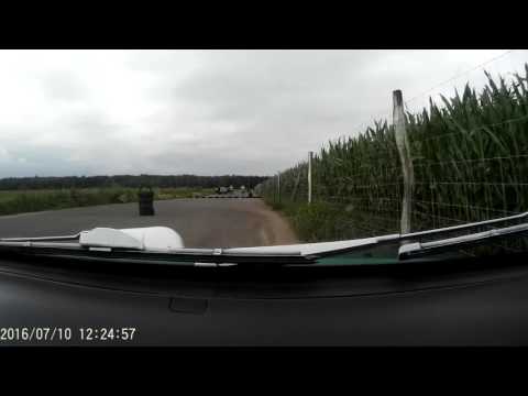 2 Runda RallySprint Milano 2 Przejazd Paweł Budnik Ford Escort