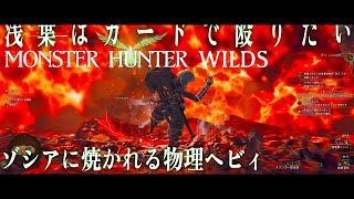 【MHWilds】ゾシア 通常弾ヘビィソロ 猫有り 装衣無し