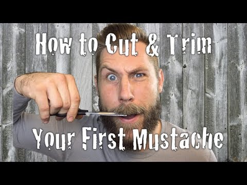 download lagu mp3 mp4 Trim Mustache, download lagu Trim Mustache gratis, unduh video klip Trim Mustache