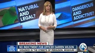 Kratom: What lab tests reveal about the controversial drug