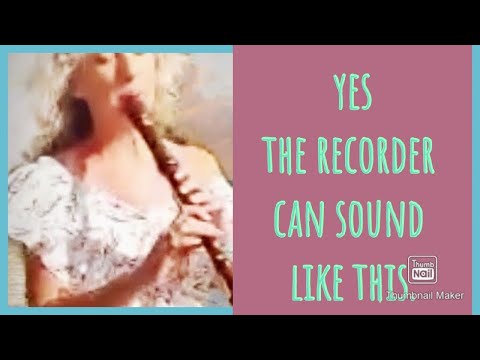 Gabriel's Oboe. Flute cover. Nella fantasia.Alto recorder by The curly musician.