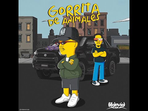 Gorrita de animales - Lildavid six (video lyric)