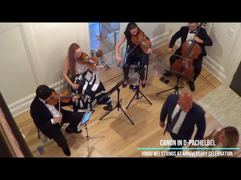 Promotional video thumbnail 12 for Xinou Wei Strings