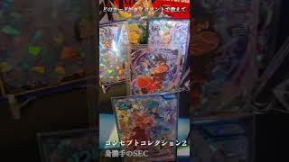 【身勝手のSEC】コンセプトコレクション2
