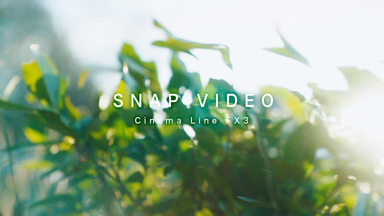 SNAP VIDEO IN JAPAN - Kenko NOSTALTONE（同系列 ORANGE 實拍，展示 NOSTALTONE 系列整體效果）