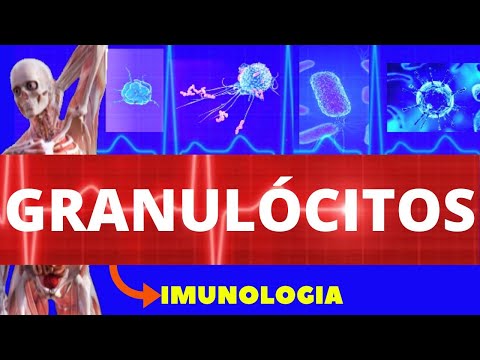 GRANULÓCITOS - NEUTRÓFILOS, BASÓFILOS E EOSINÓFILOS (ENSINO SUPERIOR) - IMUNOLOGIA - CÉLULAS IMUNES