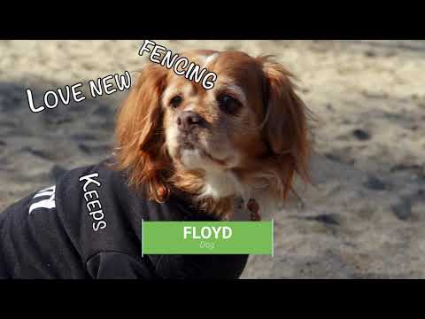 GGP Dog Training Area Completes its Trans-fur-mation