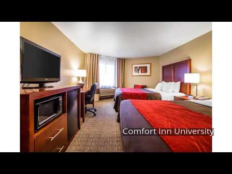 Comfort Inn University